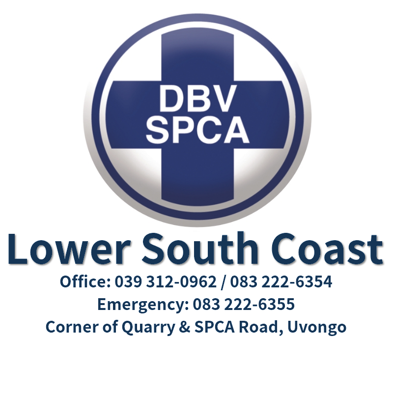south coast spca